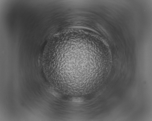 X0000070210169200606021304