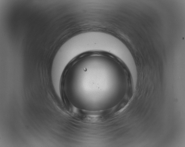 X0000070210170200606021304