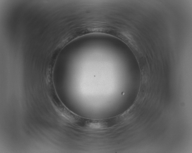 X0000070210171200606021304