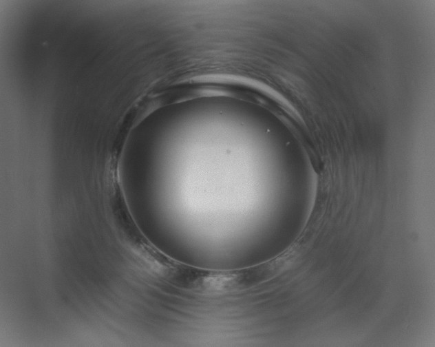 X0000070210172200606021304