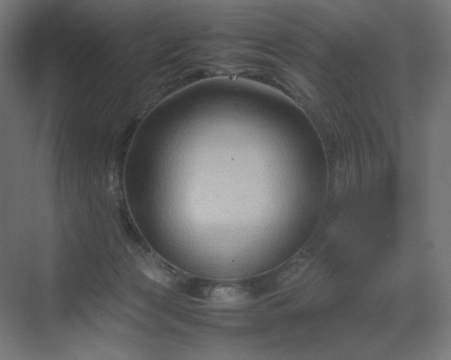 X0000070210173200606021304