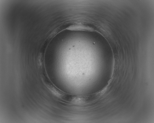 X0000070210174200606021304