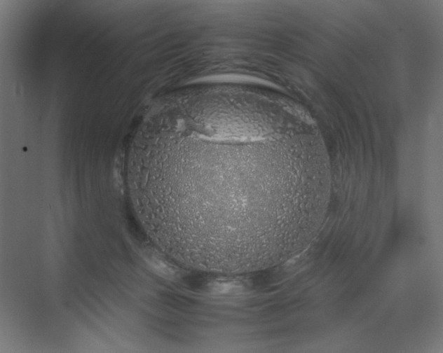 X0000070210175200606021304