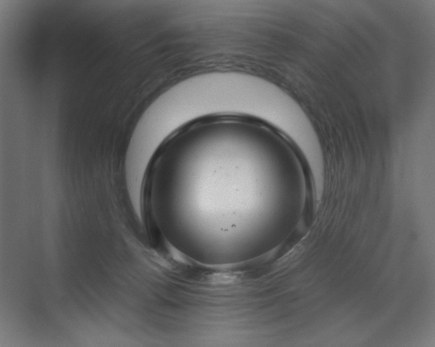 X0000070210176200606021304