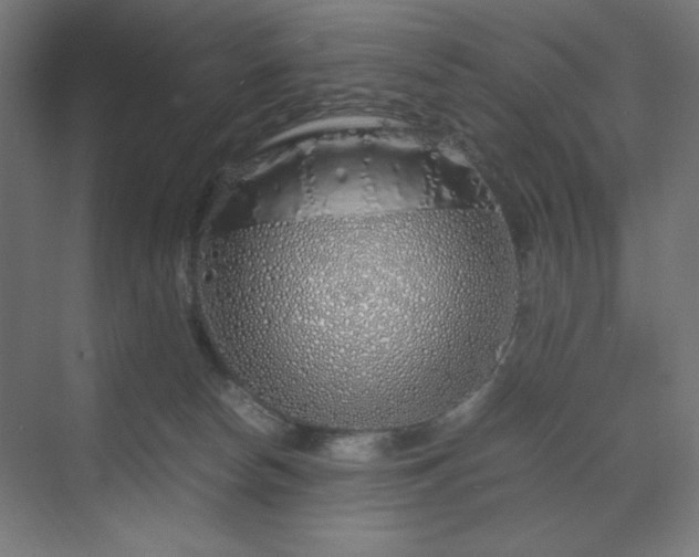 X0000070210178200606021304