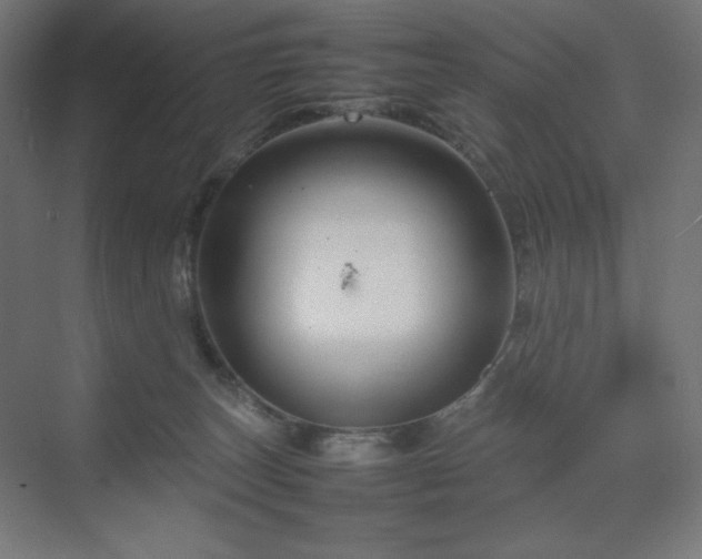 X0000070210179200606021304