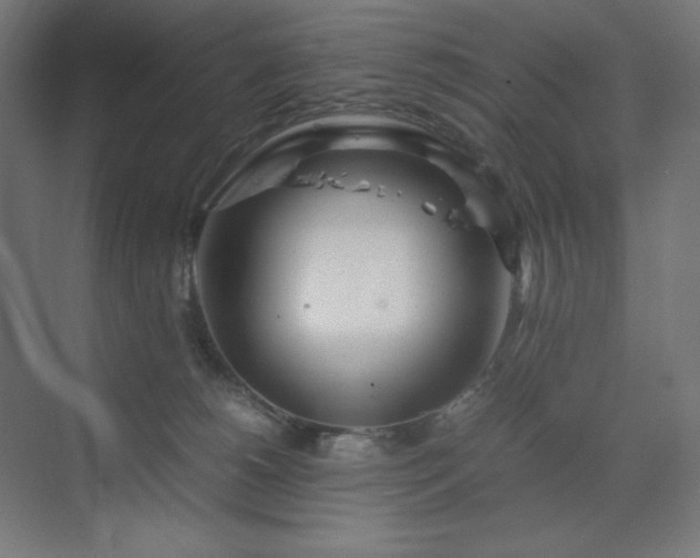 X0000070210180200606021305