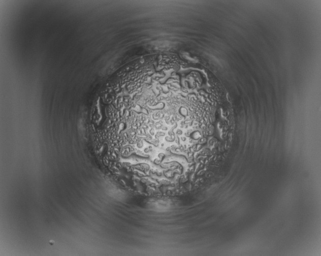 X0000070210181200606021305