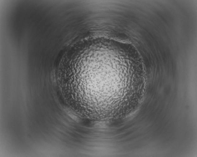 X0000070210182200606021305