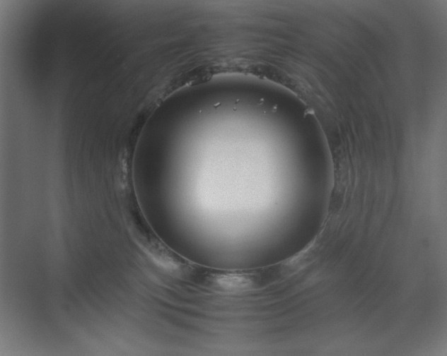 X0000070210183200606021305