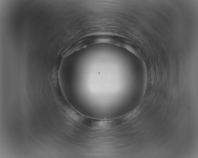 X0000070210184200606021305