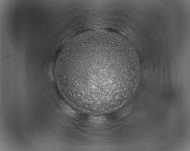 X0000070210185200606021305