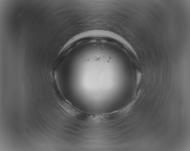 X0000070210186200606021305