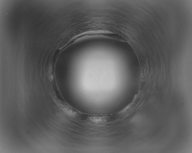 X0000070210187200606021305