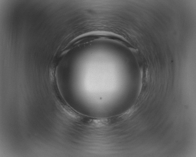 X0000070210188200606021305