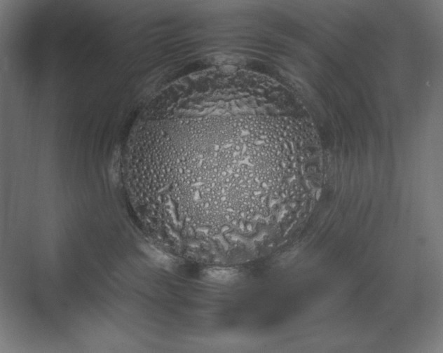 X0000070210189200606021305