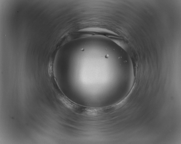 X0000070210190200606021305