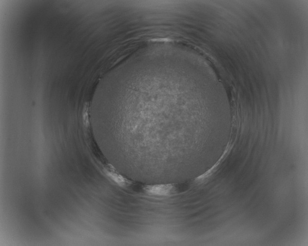 X0000070210191200606021305