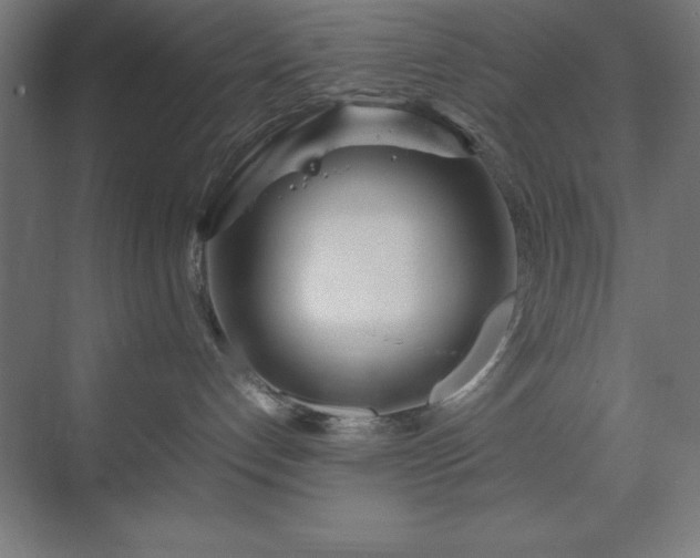 X0000070210192200606021305