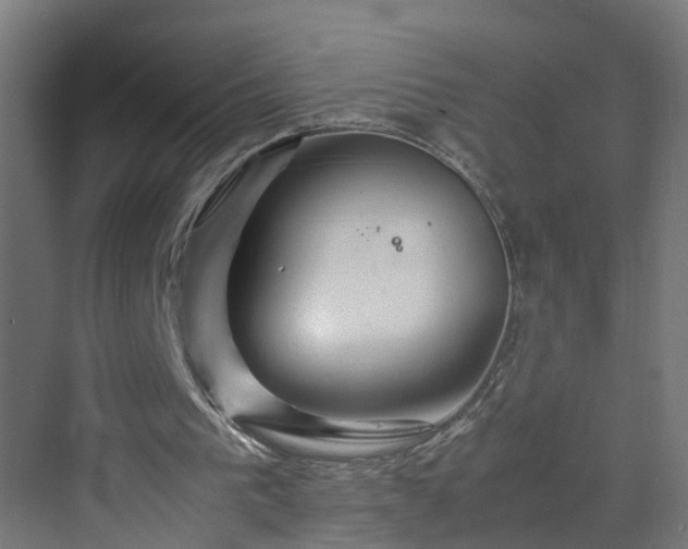 X0000070210193200606021304