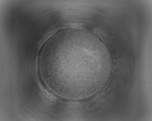 X0000070210194200606021304