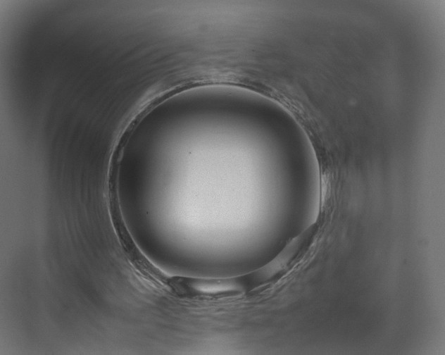 X0000070210195200606021304