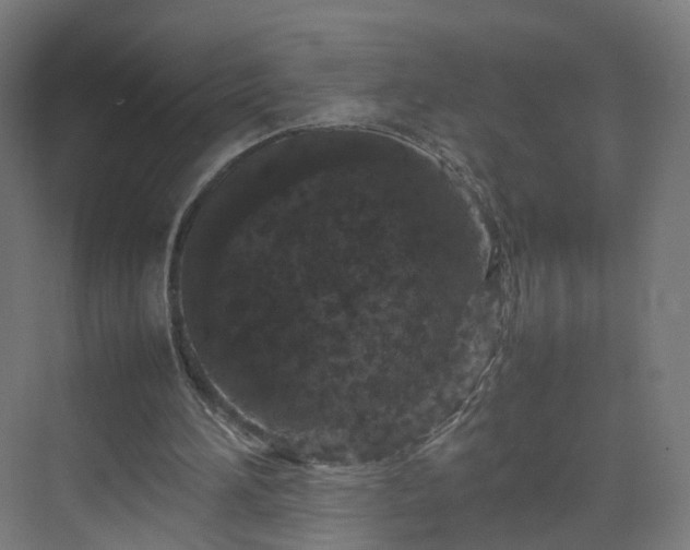 X0000070210196200606021304