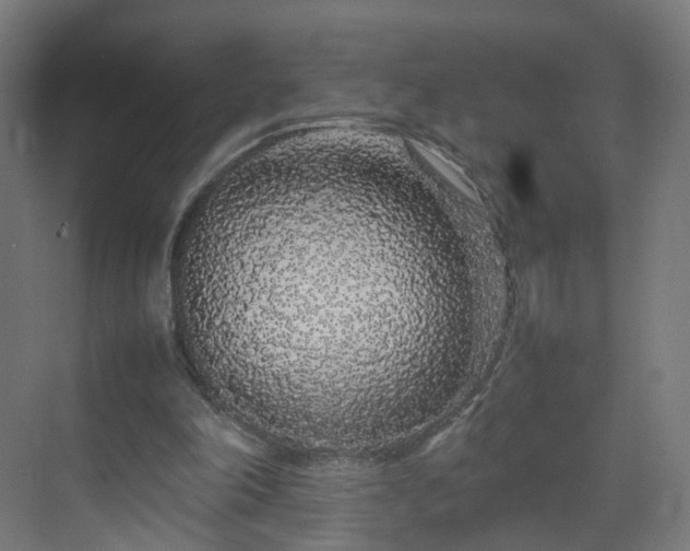 X0000070210198200606021304