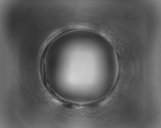 X0000070210199200606021304