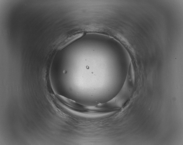 X0000070210201200606021304