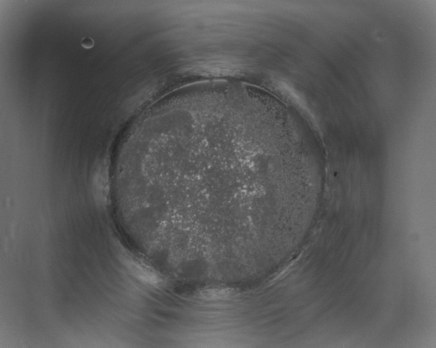 X0000070210202200606021304