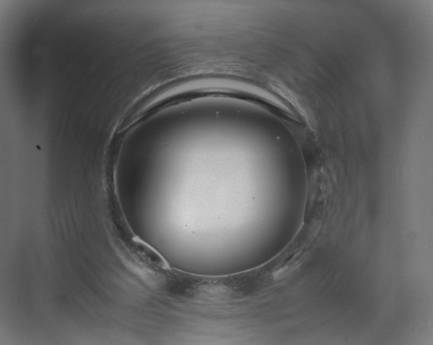 X0000070210203200606021304