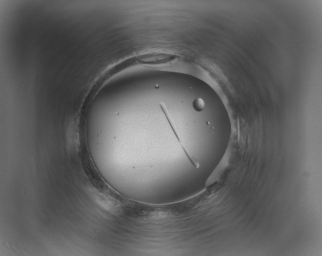 X0000070210204200606021304