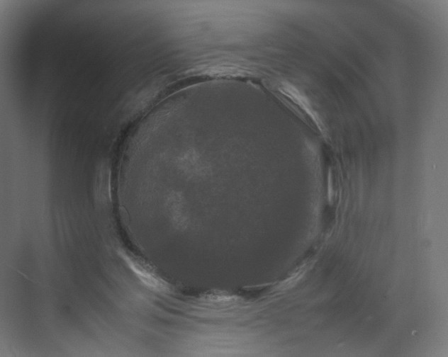 X0000070210205200606021304