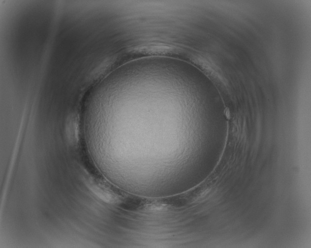 X0000070210206200606021304