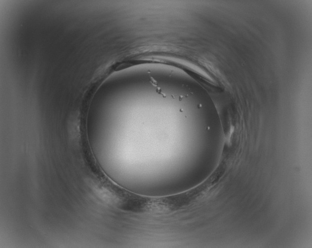 X0000070210207200606021304