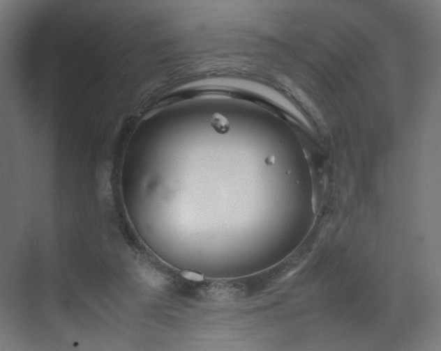 X0000070210209200606021304