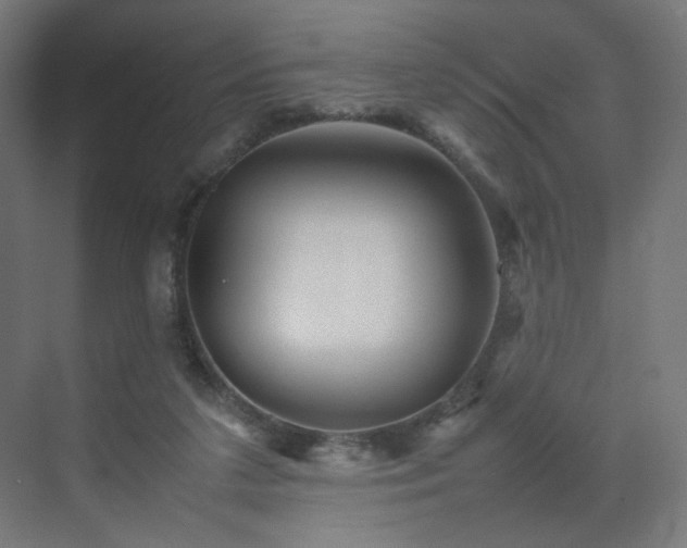 X0000070210211200606021304