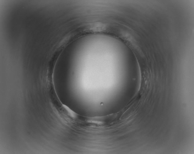 X0000070210212200606021304