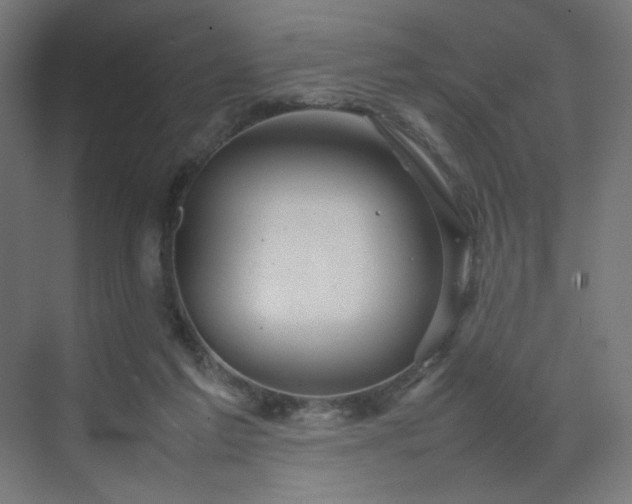 X0000070210213200606021304