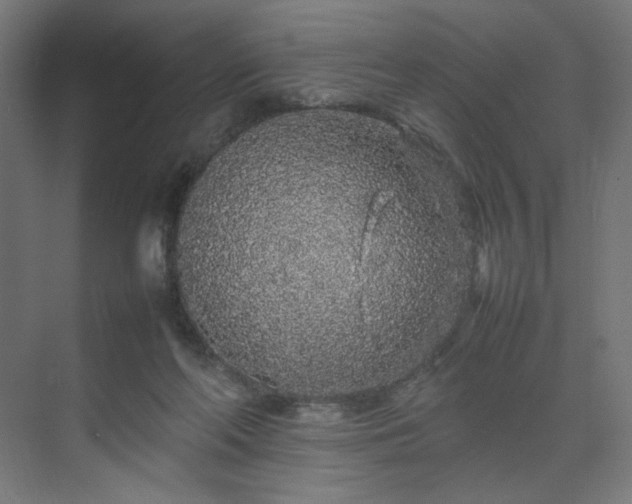 X0000070210214200606021304