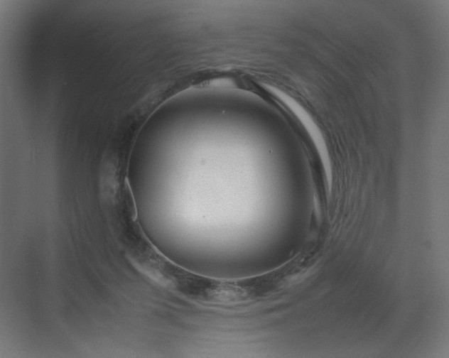 X0000070210215200606021304