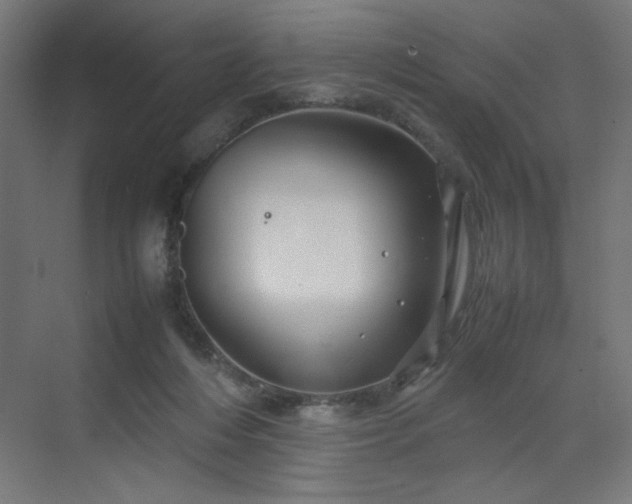 X0000070210216200606021304