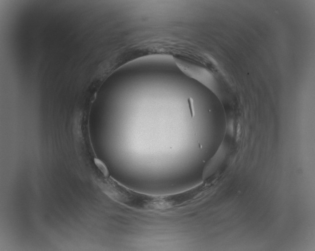 X0000070210217200606021303