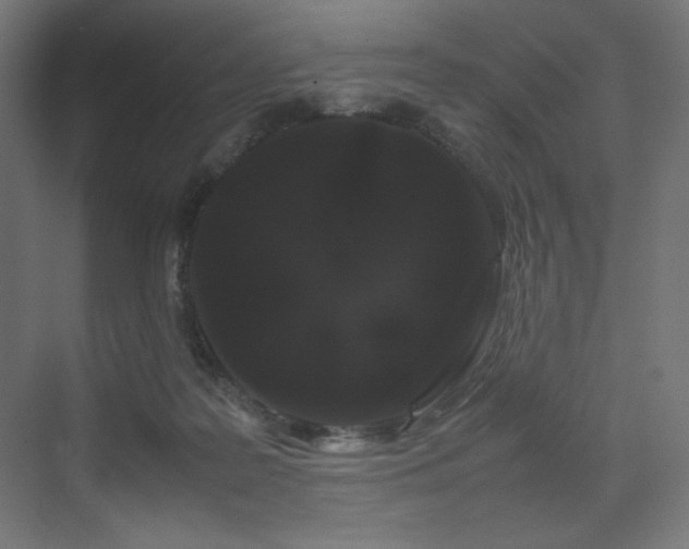 X0000070210219200606021303