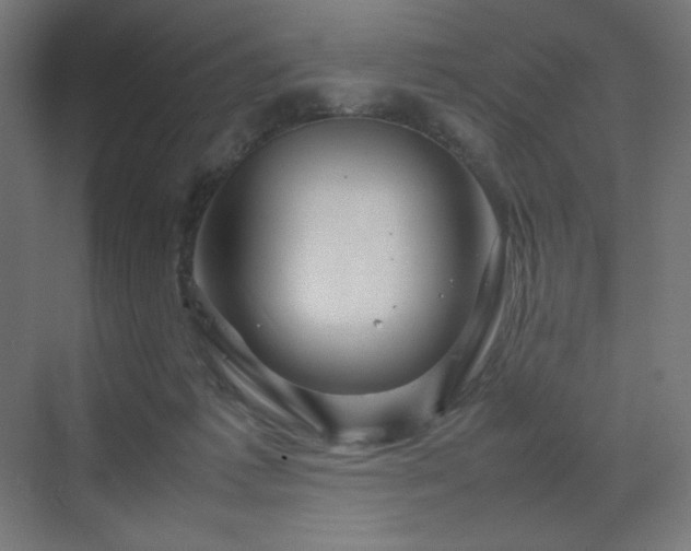 X0000070210221200606021303