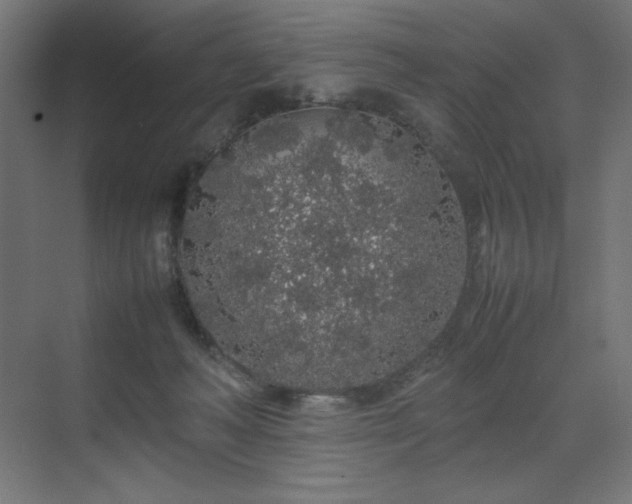 X0000070210222200606021303