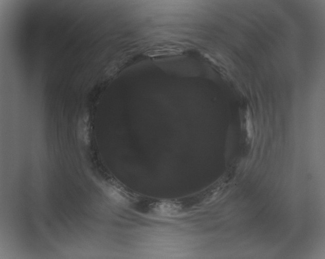 X0000070210223200606021303