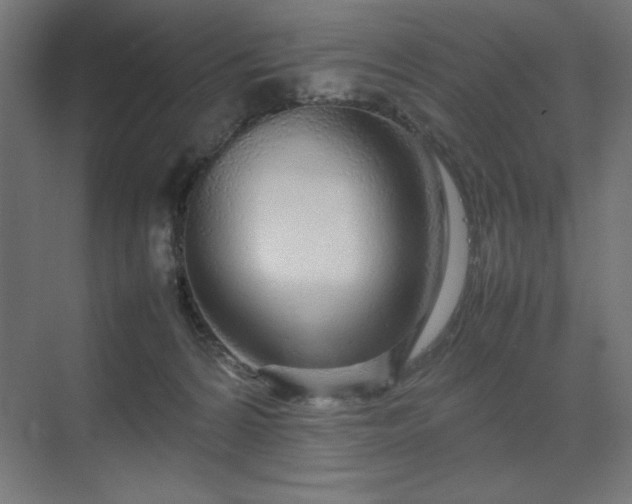 X0000070210224200606021303