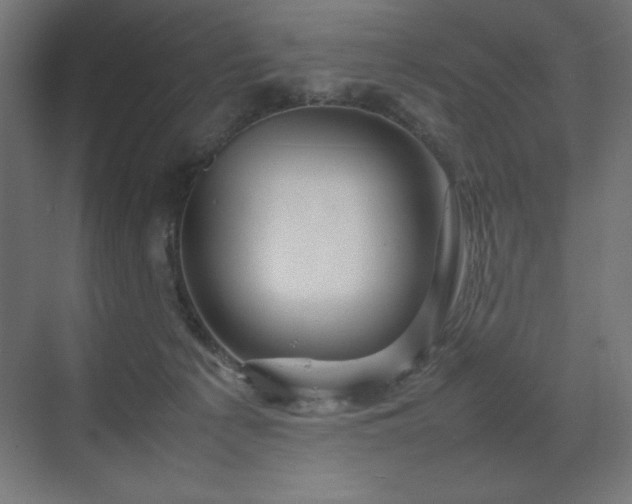 X0000070210225200606021303